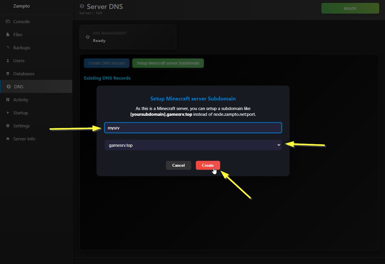 Minecraft Server subdomain setup popup
